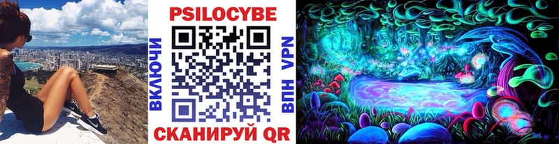 Псилоцибиновые грибы GOLDEN TEACHER  Порхов 
