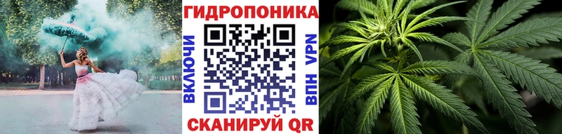 купить   KRAKEN вход  Бошки Шишки THC 21%  Порхов 